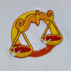 20260121_132733_resized